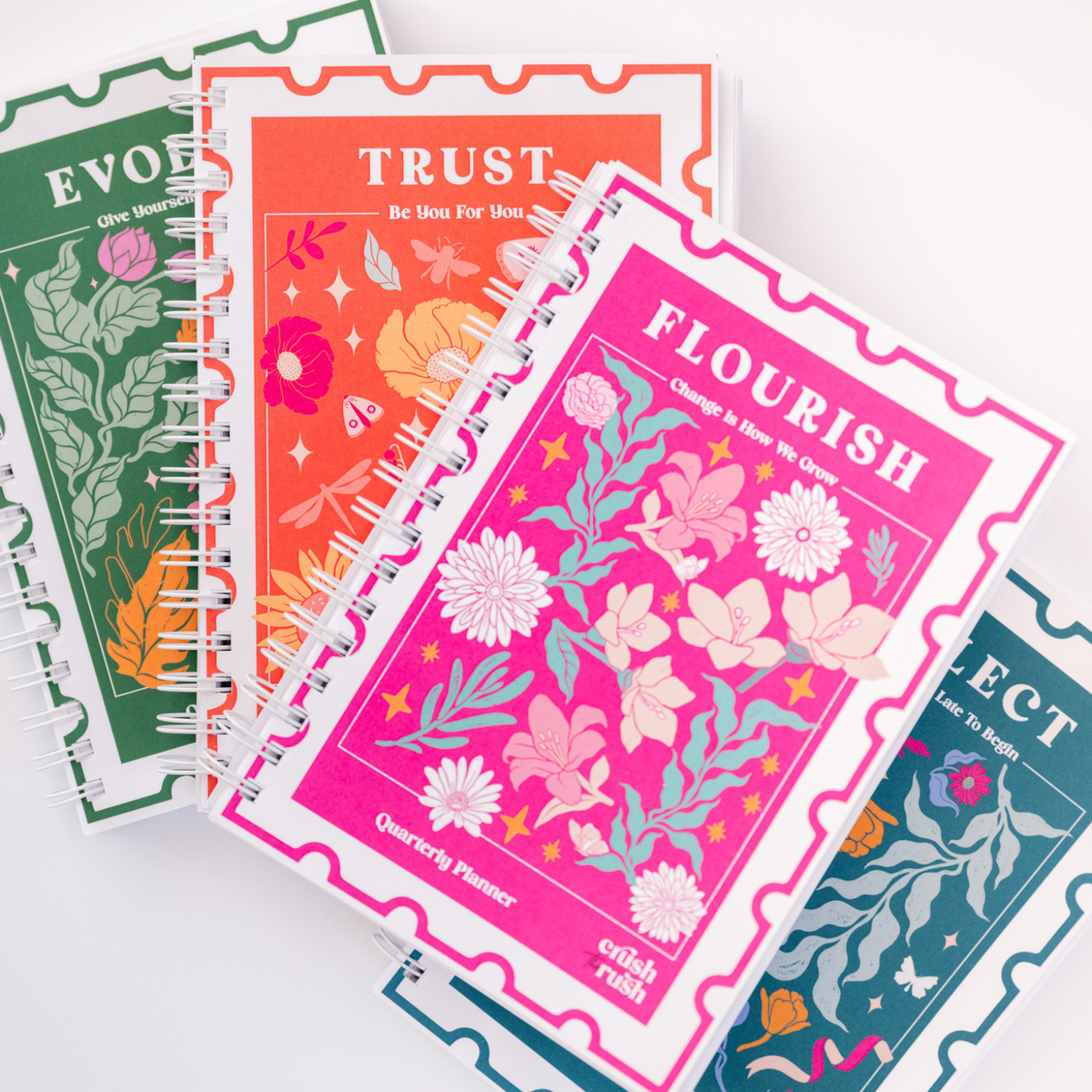 The Growth Collection (Yearly Bundle)